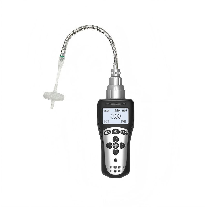 What Should Be Checked Before Using a Gas Detector?