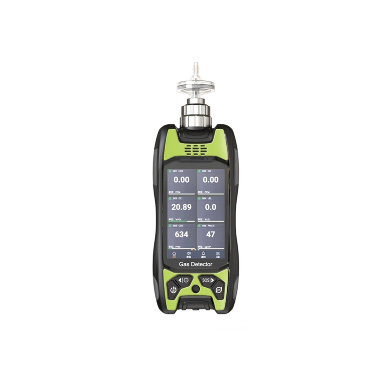 MS600S Portable Gas Detector