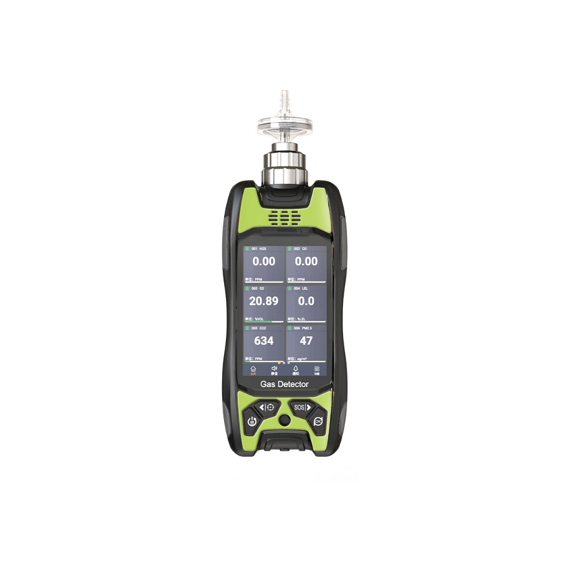 MS600S Portable Gas Detector